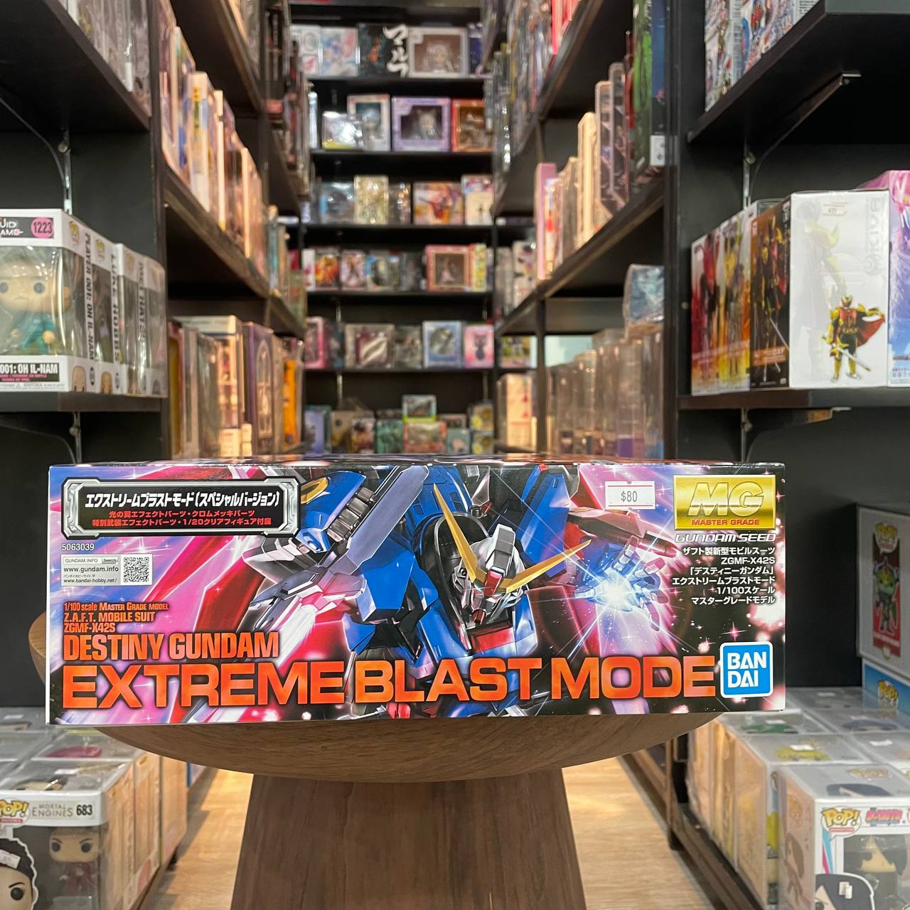 Bandai Gundam Destiny Extreme Burst Mode MG 1/100 Scale Model Kit